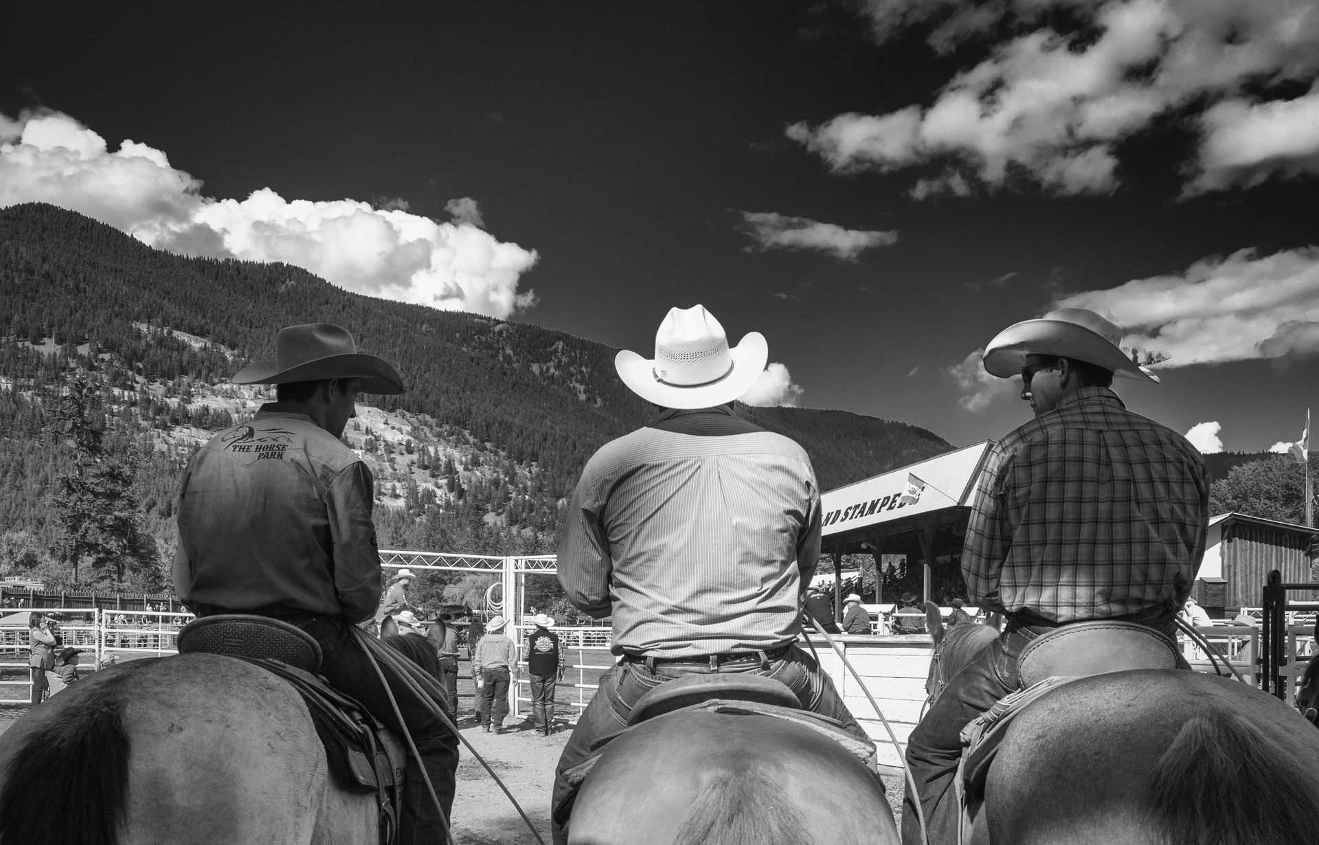 The Falkland Stampede 106th annual, live on the morning of the event